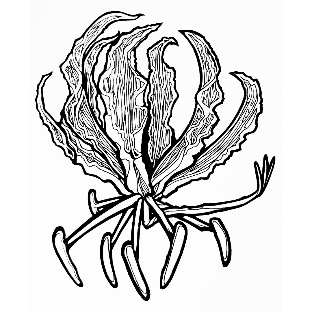 Dimitri James Signature Sticker